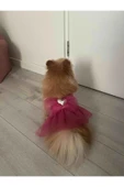 Gobo Pembe Kareli Kalpli Tüllü Kedi Köpek Kıyafeti Elbisesi Medium/M/Beden 2 - 1
