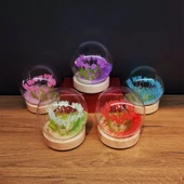 Led Işıklı Lale Cam Fanus - 2