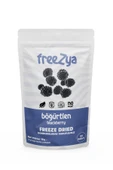 Freezya Freeze Dried Dondurularak Kurutulmuş Böğürtlen - 15 gr - 1