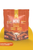 Pawgo Mini Majesty 2 Kg | Küçük Irk | Kuzu Etli | Yetişkin Köpek Maması - 1