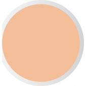 PASTEL PROFASHION LİKİT CONCEALER 103 - 3