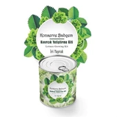 Konserve Bahçem Evde Konservede İri Yapraklı Kıvırcık Yetiştirme Kiti thumbnail 1