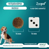 Zoey Kuzulu Yetişkin Köpek Maması 15 KG thumbnail 4