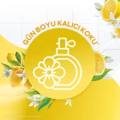 Cif Zemin Temizleyici Limon Çiçeği 1500 ml X4 thumbnail 4