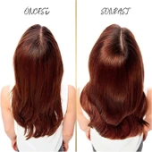 Pantene Şampuan 400 ml Kepeğe Karşı Şampuan 4 Adet Pantene Kepeğe Karşı 400 thumbnail 3