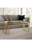 TOLIAHOME Modern Gold Renk 2’li Metal İskeletli Temper Camlı Zigon Orta Sehpa - 2