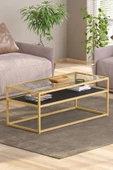 TOLIAHOME Modern Siyah-Gold Renk Metal İskeletli Temper Camlı 2 Katlı Dikdörtgen Orta Sehpa - 2