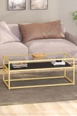 TOLIAHOME Modern Siyah-Gold Renk Metal İskeletli Temper Camlı 2 Katlı Dikdörtgen Orta Sehpa - 1