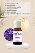 PROCLİS Lavanta Yağı, %100 Doğal Uçucu Yağ, Lavander Oil 10 ml Sprey Başlıklı thumbnail 3