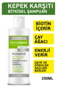 Dermaderm At Kuyruğu Bitkisi ve Çay Ağacı Özlü Bitkisel Formül Kepek Şampuanı 250 ml - 1