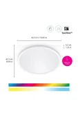 Wiz SuperSlim 22W Beyaz Sıva Üstü RGB Akıllı LED Yuvarlak Panel Tavan Armatürü 42 cm çapında 2600 Lumen - 2