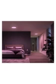 Philips Hue Surimu Beyaz Sıva Üstü RGB Akıllı LED Yuvarlak Panel Tavan Armatürü 40 cm çapında 2850 Lumen - 5