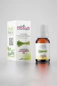 PROCLİS Limonotu Yağı, %100 Doğal Uçucu Yağ, Lemongrass Oil 10 ml Sprey Başlıklı - 2