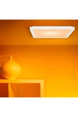 Wiz Beyaz Akıllı Sıva Üstü RGB Kare Panel Tavan Armatürü 12W - 4