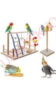 Kuş Oyuncağı Kuş Oyun Parkı Muhabbet Kuşu Papağan Oyun Parkuru Kuş Salıncağı thumbnail 5