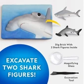 NAT07002 National Geographic Köpek Balığı Bulma Kiti - TRHAMSHDIG +6 yaş thumbnail 3