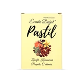 Evvahe Doğal Pastil 12 adet(Zencefil, Karamürver, Propolis, C vitamini İçeren Pastil Takviye Edici Gıda) - 1