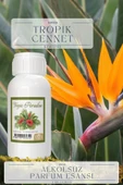 Tropik Cennet Kokusu  Toptan Parfüm Esansı 1 Kilogram thumbnail 1