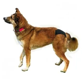 Trixie Hijyenik Köpek Külodu Xs 20-25cm Siyah - 2