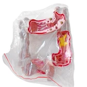 Kalınbağırsak Maketi Model 54 thumbnail 1