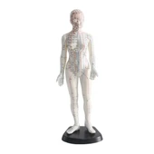 Kadın Akupunktur Maketi 50 cm - 2