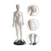 Kadın Akupunktur Maketi 50 cm - 1