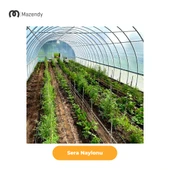 Sera Naylonu 2x4m 140 Mikron UV+EVA Katkılı Şeffaf Sera Örtüsü – Bahçe, tarım ve izolasyon amaçlı ideal sera naylonu. thumbnail 9
