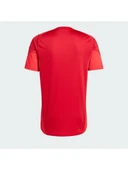 adidas Tiro 25 Competition Training Erkek Forma thumbnail 5