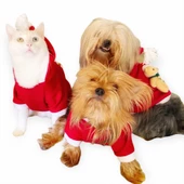 Teddy Noel Kapşonlu Kedi Sweatshirt - 7