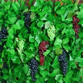 Nettenevime 3lü Set Yapay Meyve Kırmızı Siyah Yeşil Üzüm Süs Dekoratif Meyve 15CM - 5