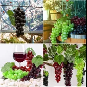 Nettenevime 3lü Set Yapay Meyve Kırmızı Siyah Yeşil Üzüm Süs Dekoratif Meyve 15CM - 6