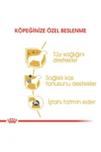 Poodle Yaş Köpek Maması 12 x 85g thumbnail 3