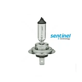 Sentinel H7 Halojen Far Ampülü 12 Volt 55Watt - 1