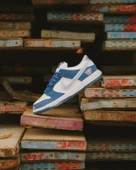 NIKE SB DUNK LOW X BORN X RAISED WHITE BLUE thumbnail 6