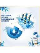 head and shoulders Supreme Şampuan Güç 300 ml 3 Adet Saç Fön Fırçası Oval Saç Fırçası Tarak 1+1 Adet - 2