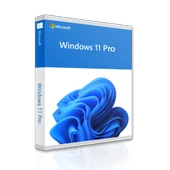 MICROSOFT Windows 11 Pro - 1