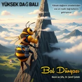 Yüksek Dağ Balı thumbnail 1