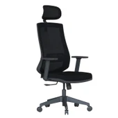 Casella Teknik Ofis Mobilyaları Pordo Fileli Ayarlanabilir Kol Hareketli Bel Destekli Siyah Yönetici Çalışma Koltuğu - 1