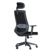 Casella Teknik Ofis Mobilyaları Pordo Fileli Ayarlanabilir Kol Hareketli Bel Destekli Siyah Yönetici Çalışma Koltuğu - 4