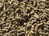 Tarımgaraj Elektrikli Pelet Makinesi 220V-2 Top 4 Beygir thumbnail 3