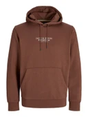 JACK JONES Premium Erkek Kapüşonlu Sweatshirt 12216335 thumbnail 1