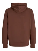 JACK JONES Premium Erkek Kapüşonlu Sweatshirt 12216335 thumbnail 2
