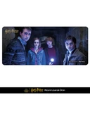 EXVEGA Harry Potter Friends Mousepad XXL - 1
