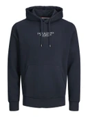 JACK JONES Premium Erkek Kapüşonlu Sweatshirt 12216335 thumbnail 1