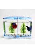 İkili Beta Akvaryumu 9*19*14cm 1800ml - 2