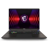 MSI Vector 16 HX A14VGG-271TR i9-14900HX 32 GB 1 TB SSD RTX4070 16" Gaming Laptop - 1