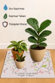 Valerine Life Çiçek Saksı Matı Salon Balkon Bitkileri Zemin Koruyucu Kaymaz Saksı Altlığı 60x60cm 27250620 thumbnail 3