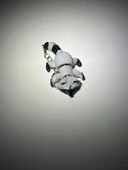 Rakun Eklemli Anahtarlık thumbnail 5