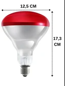 (5 Adet) Philips 250W Kızılötesi (infrared) Isıtıcılı Hayvan Isıtma ve Fizik Tedavi Lambası (Kırmızı Işık) E27 (Kalın Duy) thumbnail 3