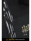 EXVEGA Andromeda 2025 Harry Potter Hogwarts Crest Edition Masajlı Oyuncu Koltuğu Dokuma Kumaş - 2